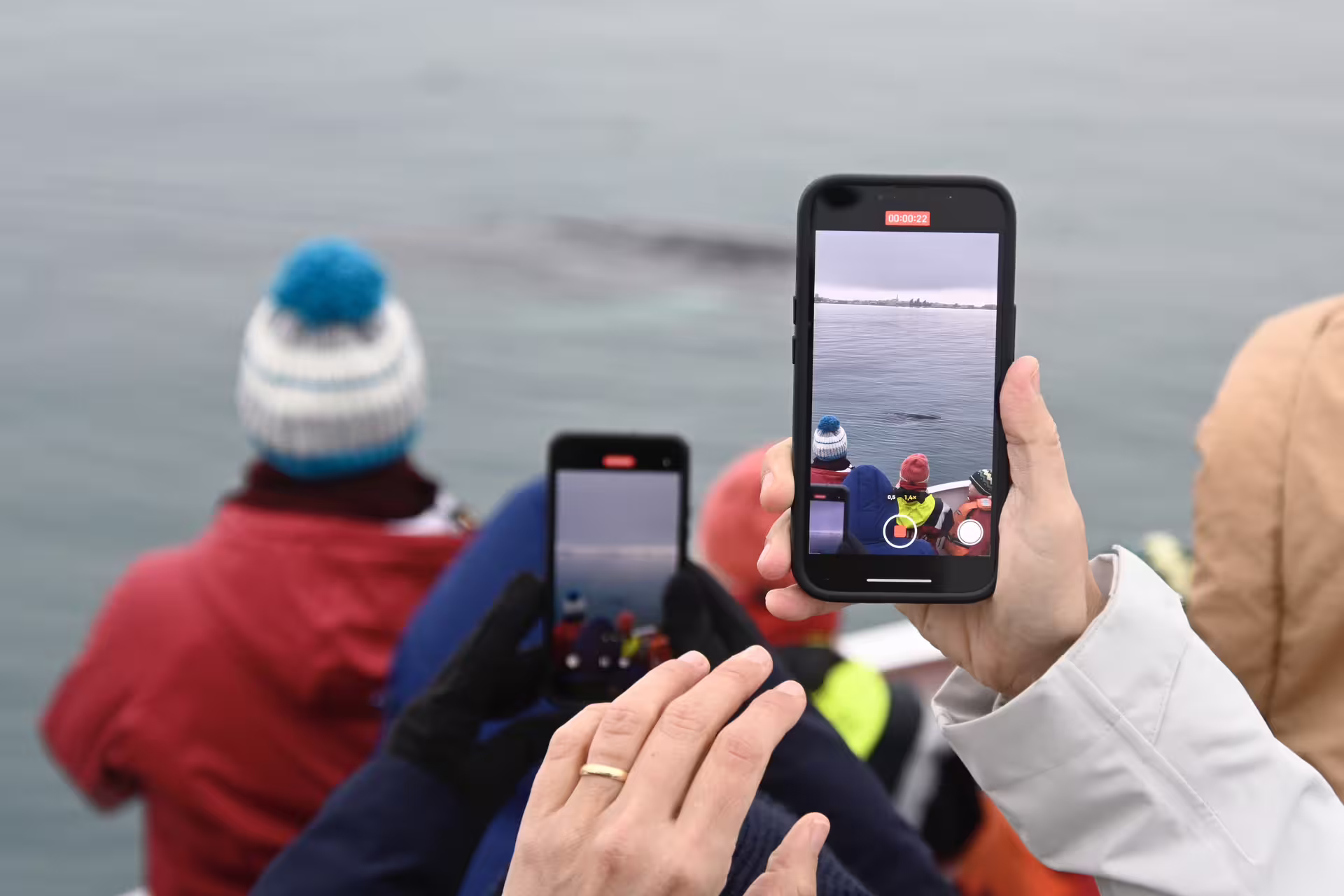 Tourists on a whale watching boat in Reykjavik photographing a whale surfacing near the vessel