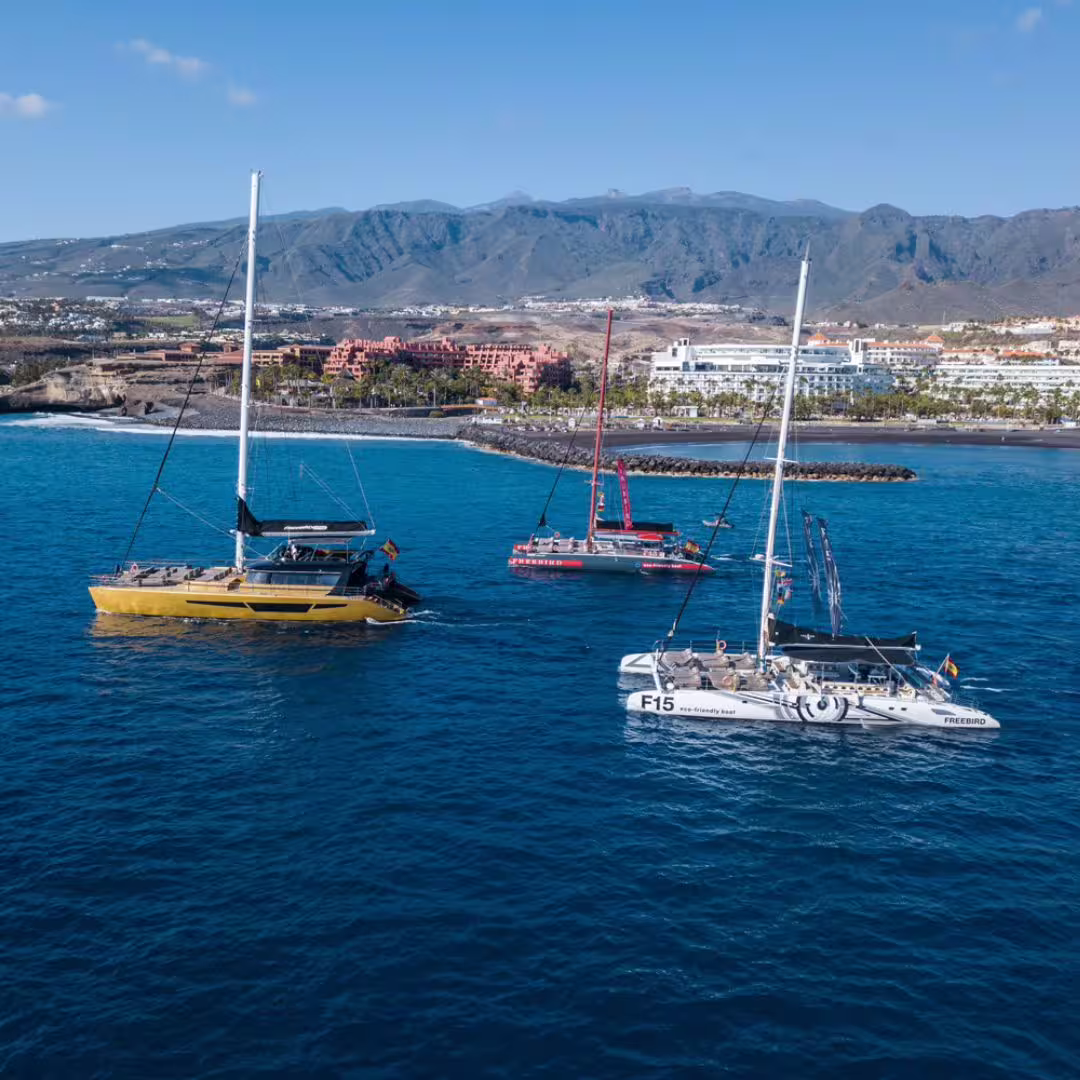 Three catamarans sail near the Costa Adeje coast, offering scenic views and whale watching adventures.
