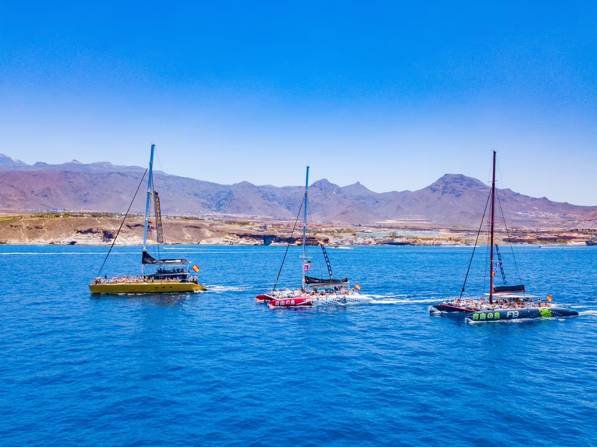 Three catamarans cruising in the clear waters of Costa Adeje with scenic mountain backdrop, perfect for whale watching tours.