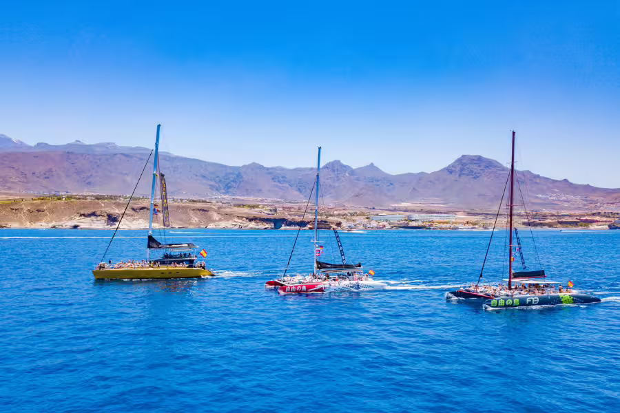 Colorful catamarans sail along the scenic Los Gigantes coastline, offering breathtaking views of the cliffs and ocean.