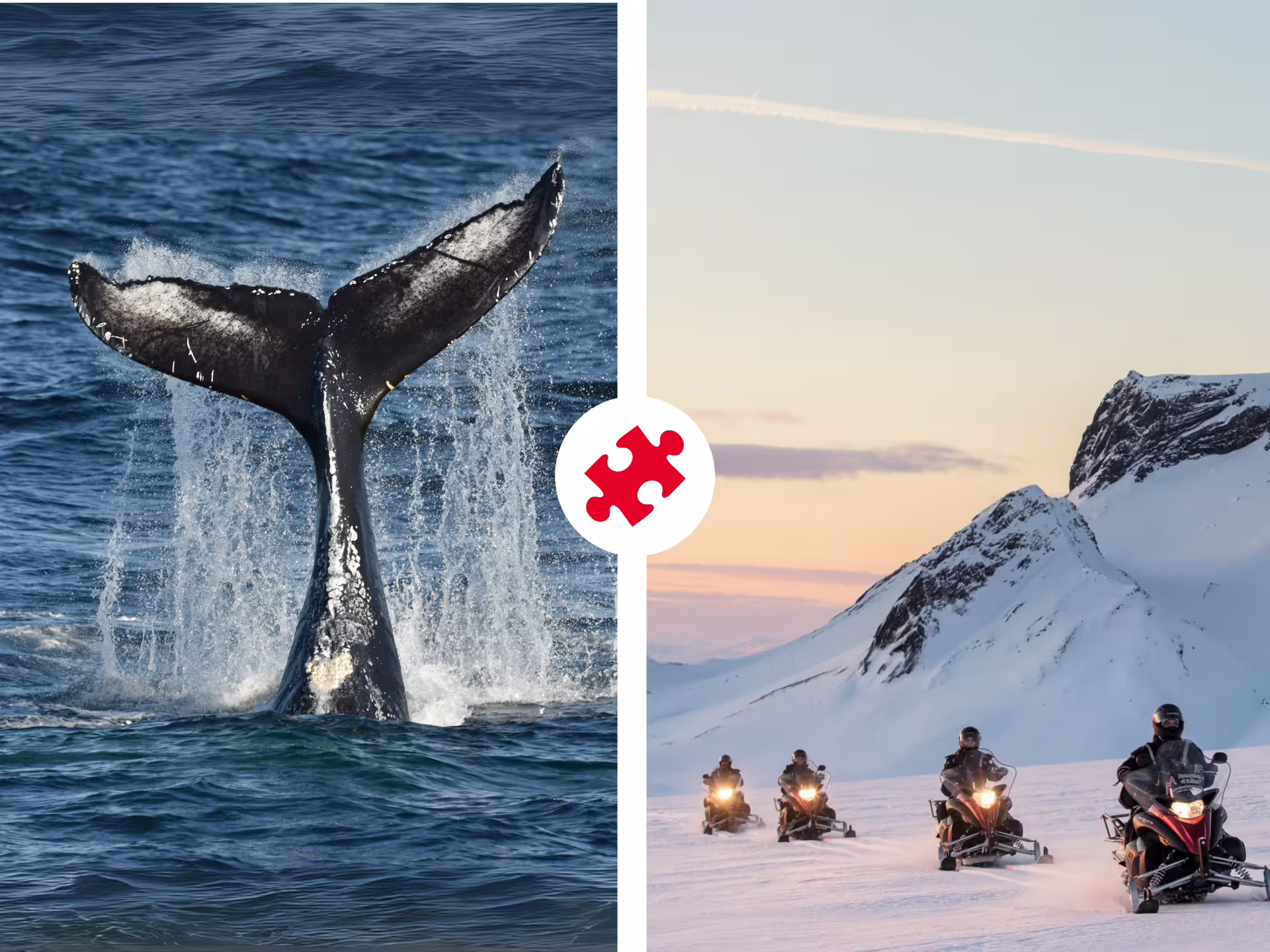 Whale tail breaching ocean waves alongside snowmobilers riding snowy Iceland glacier mountains at sunset