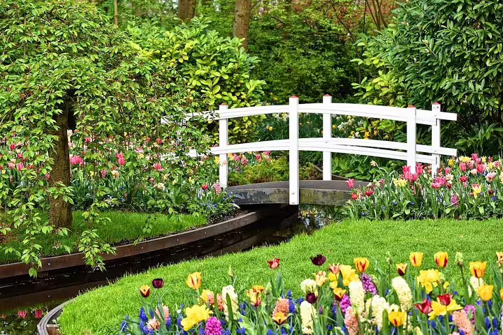 White bridge over canal amid colorful tulips at Keukenhof Gardens on a private half-day trip from Amsterdam
