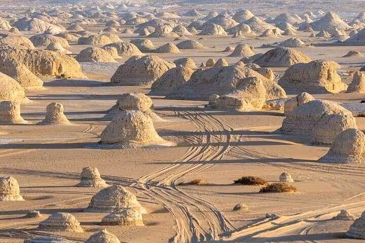 Panoramic White Desert chalk mushroom rocks and jeep tracks, highlight of a 2-day private White & Black Desert tour