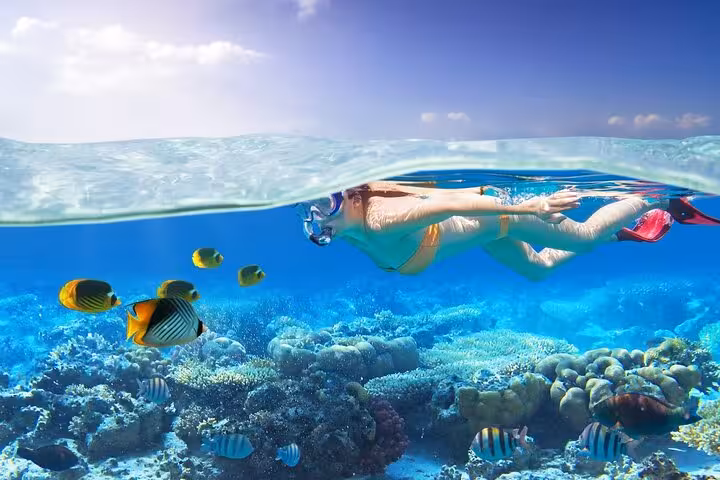 Snorkeling over Ras Mohamed coral reef with tropical fish on White Island day trip from Sharm El Sheikh