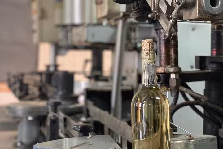 A bottle of white wine on a production line during the Wine Tasting in Berat Classic Tour experience.