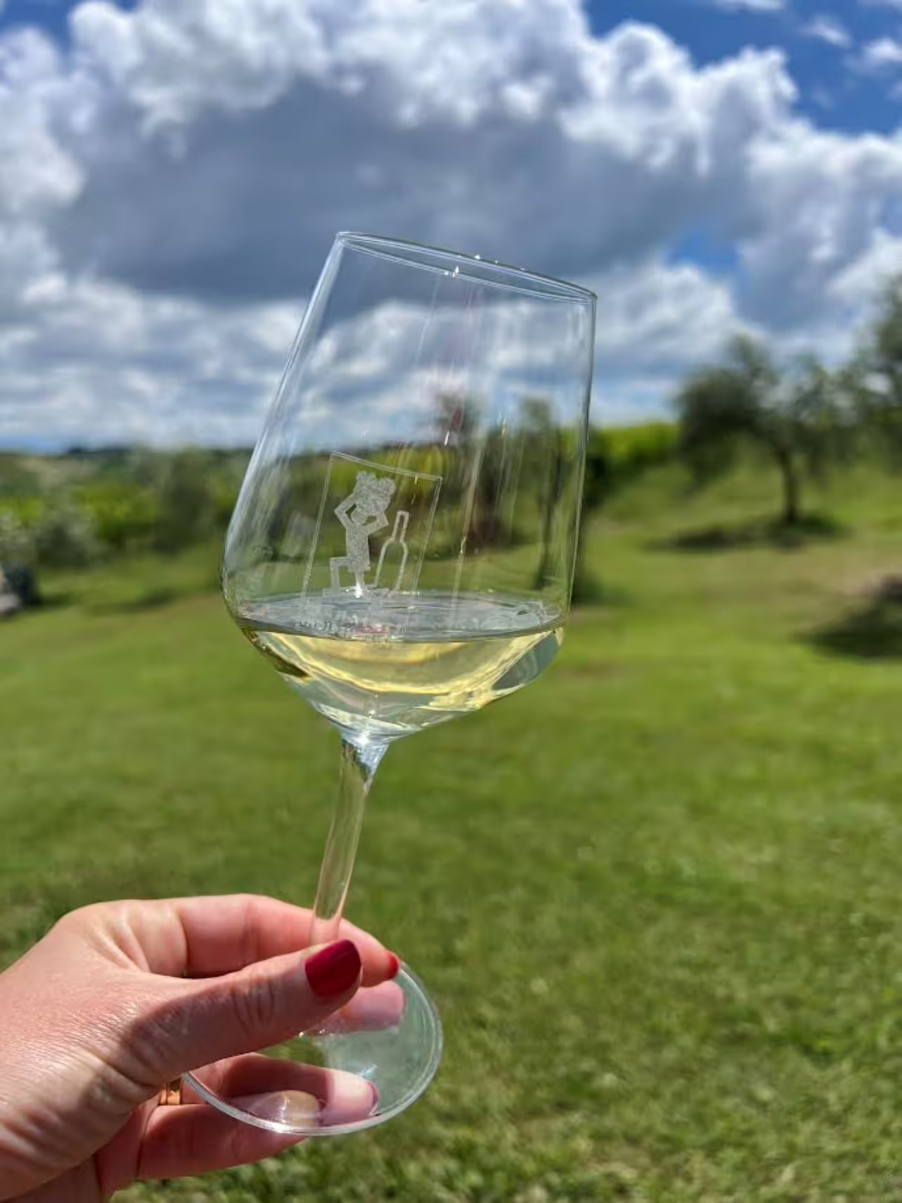 Hand holding a glass of white wine against the scenic backdrop of Tenuta La Viola vineyards under a cloudy sky.