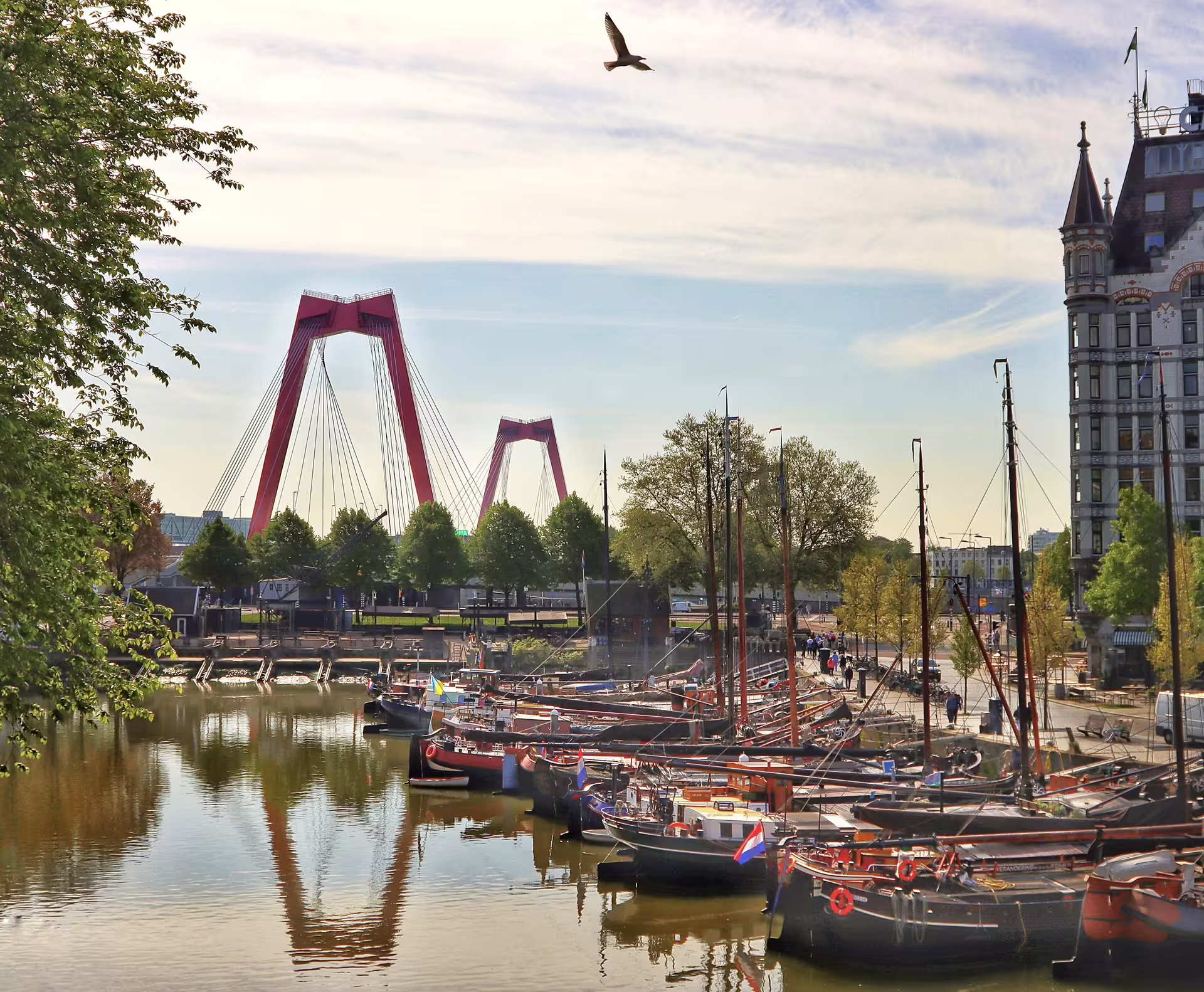Willemsbrug and Oude Haven boats in Rotterdam, scenic stop on Port of Rotterdam 1-day walking audioguide