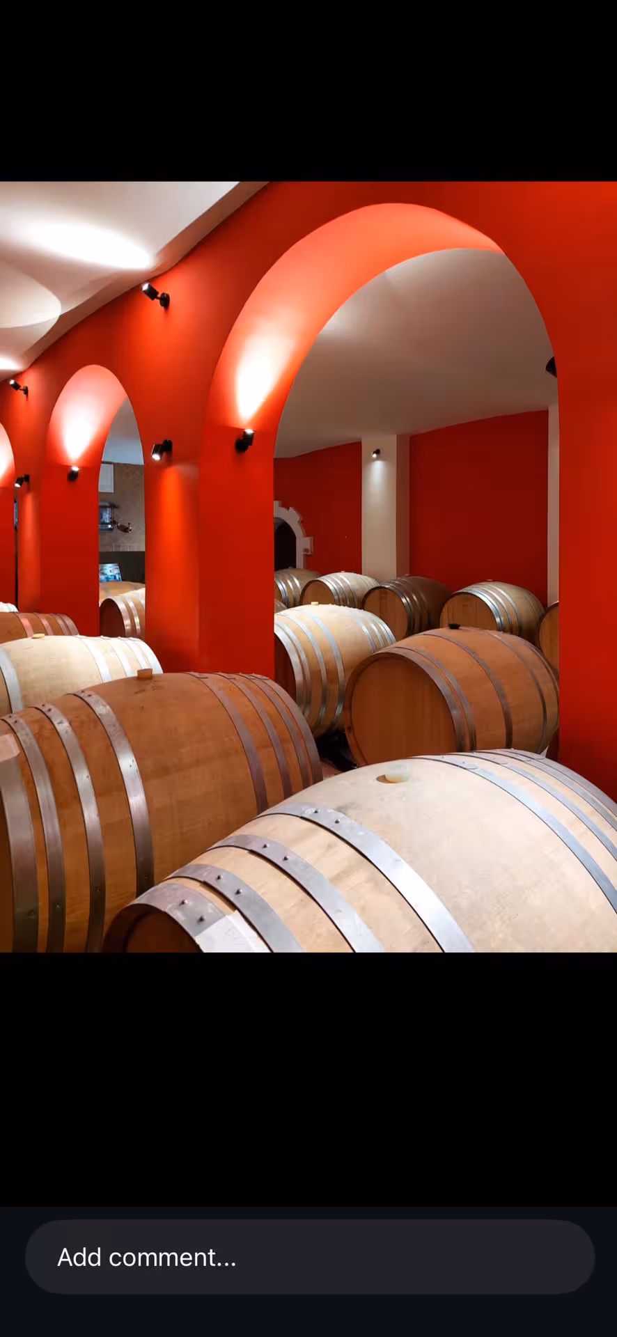 Oak wine barrels aging in a red-walled cellar with arched ceilings at a vineyard near Nice
