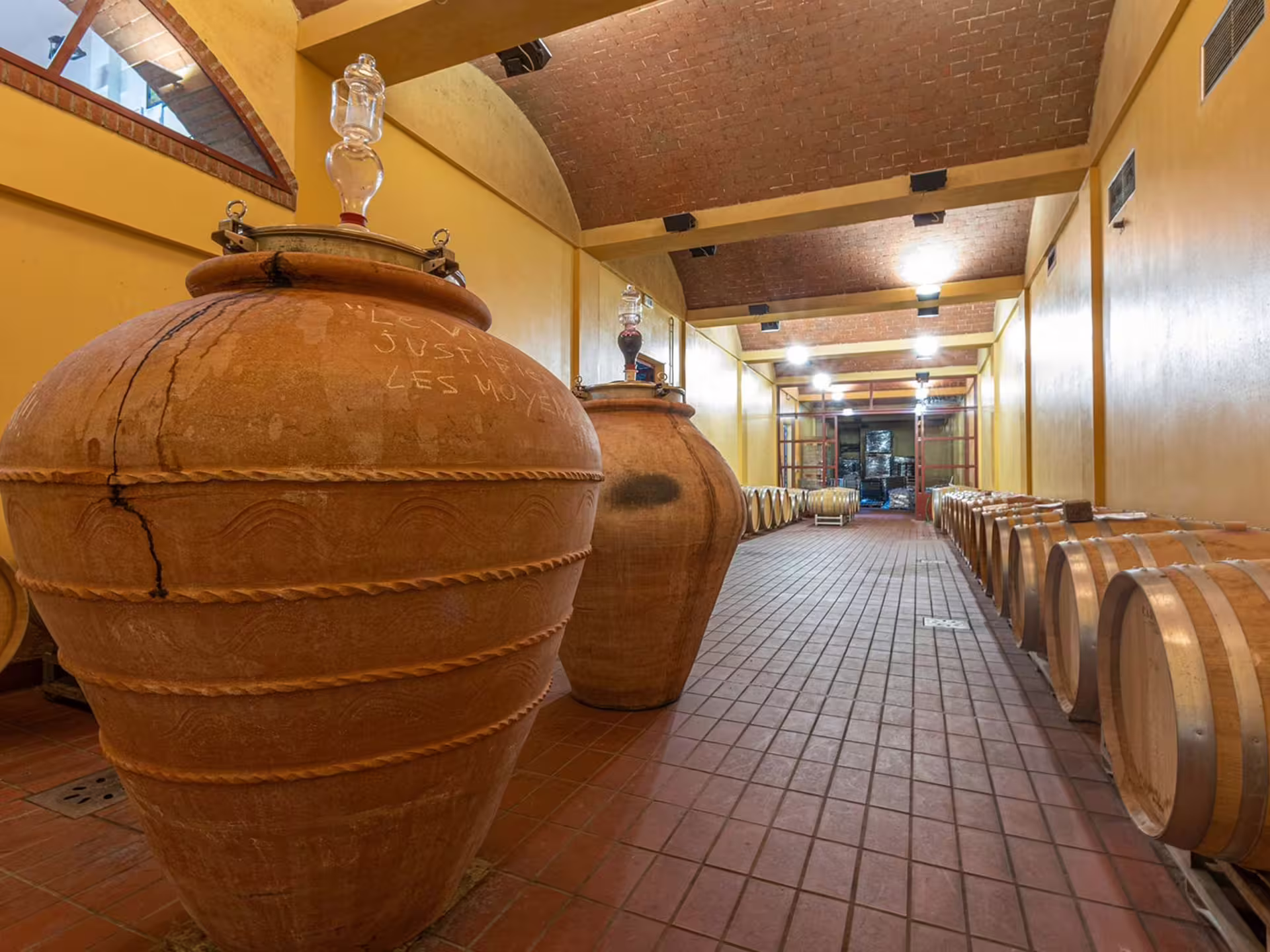 Cellar with clay wine jars and barrels for wine aging on a tour near Livorno and Pisa.
