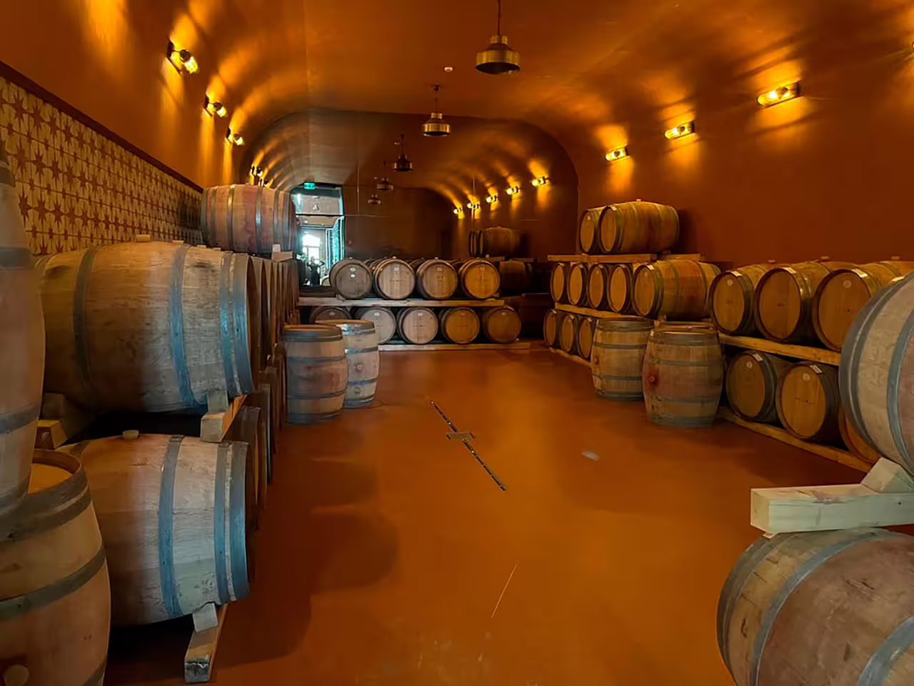 Cozy wine cellar with rows of oak barrels, ideal setting for a guided tour and tasting of three exquisite wines.