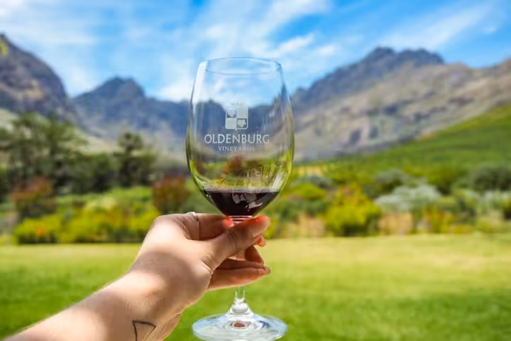 Hand holding a wine glass against stunning mountain backdrop at Oldenburg Vineyards, Cape Town.