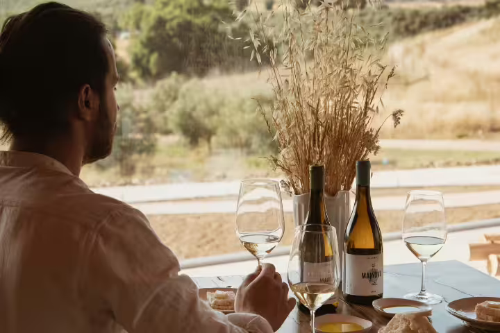 A person enjoys wine and olive oil tasting at a rustic vineyard table with scenic countryside views, perfect for a culinary tour.