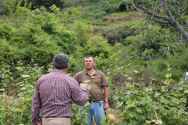 Two men engaging in conversation amidst lush greenery in a vineyard on a wine tasting tour in Berat.