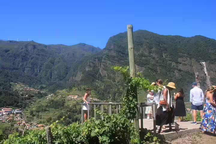 Visitors enjoying a breathtaking view of lush mountains on a wine tour and skywalk adventure, surrounded by vibrant vineyards.