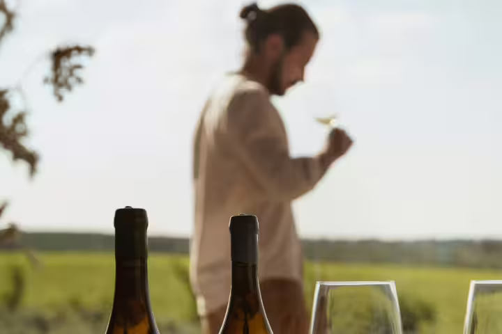 Wine tour and tasting experience featuring two white wine bottles and glasses with vineyard view in the background.