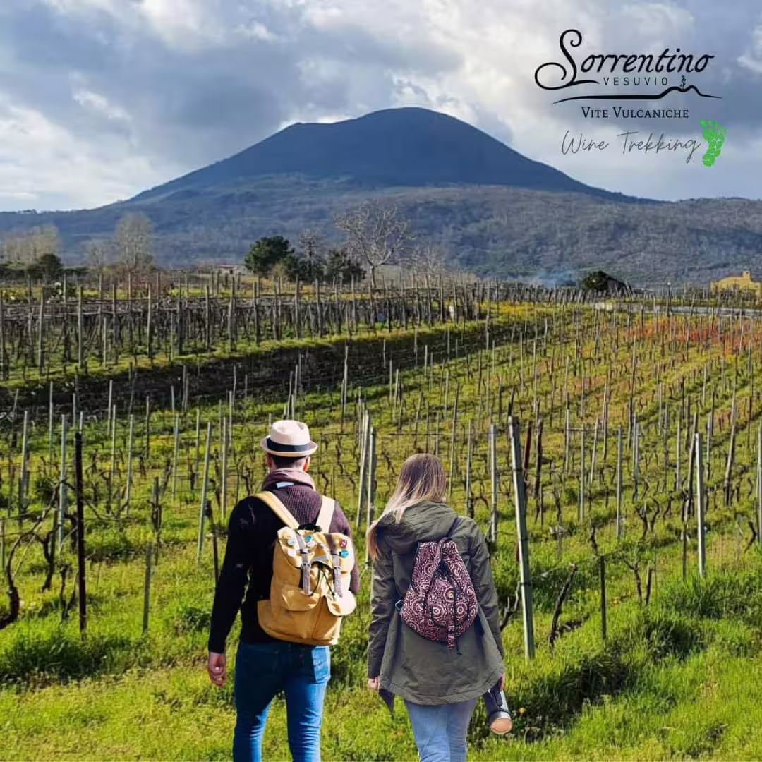 Couple wine trekking through Sorrentino Vesuvio vineyards with Mount Vesuvius backdrop on guided volcanic terroir tour