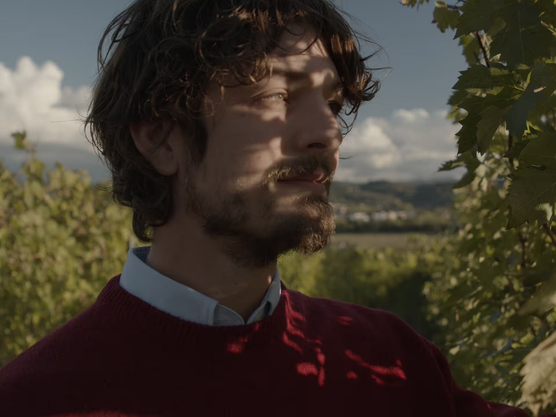 Winemaker in Umbrian vineyard near Lake Trasimeno, Perugia, during guided winery visit and wine tasting experience