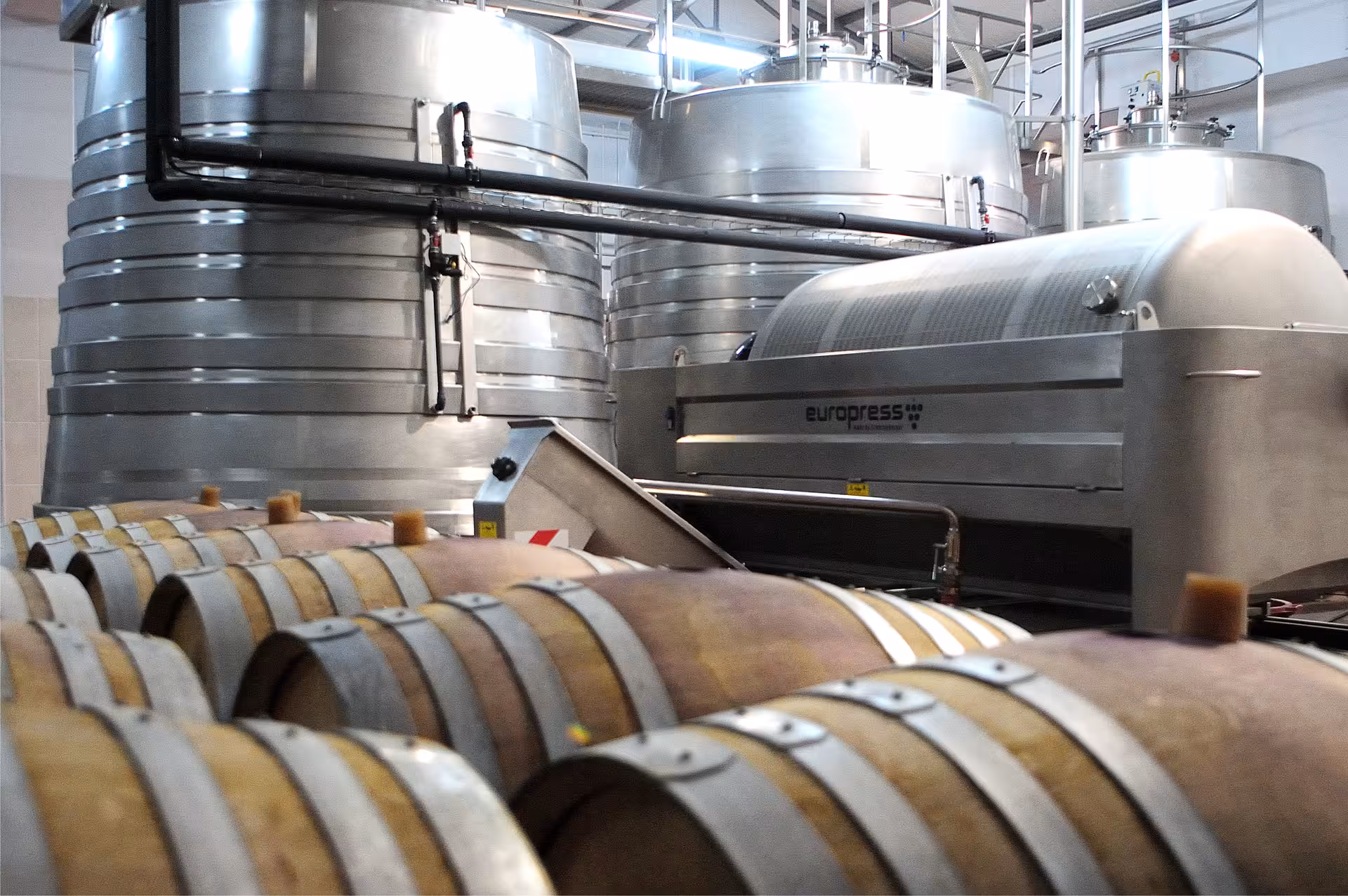 Modern winery production facility with stainless steel tanks and oak barrels seen on a guided wine tasting tour