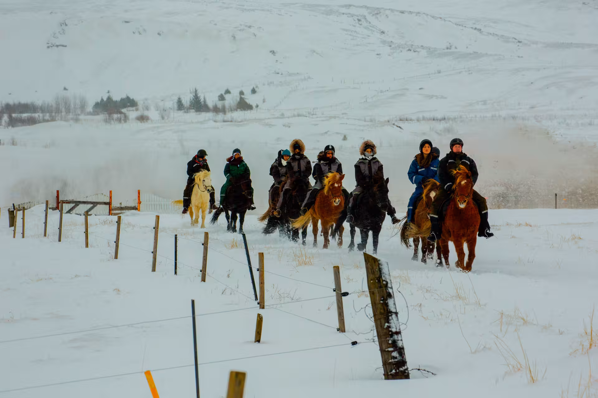 Winter Icelandic horse riding excursion through snowy countryside, small group tour on sturdy Icelandic horses