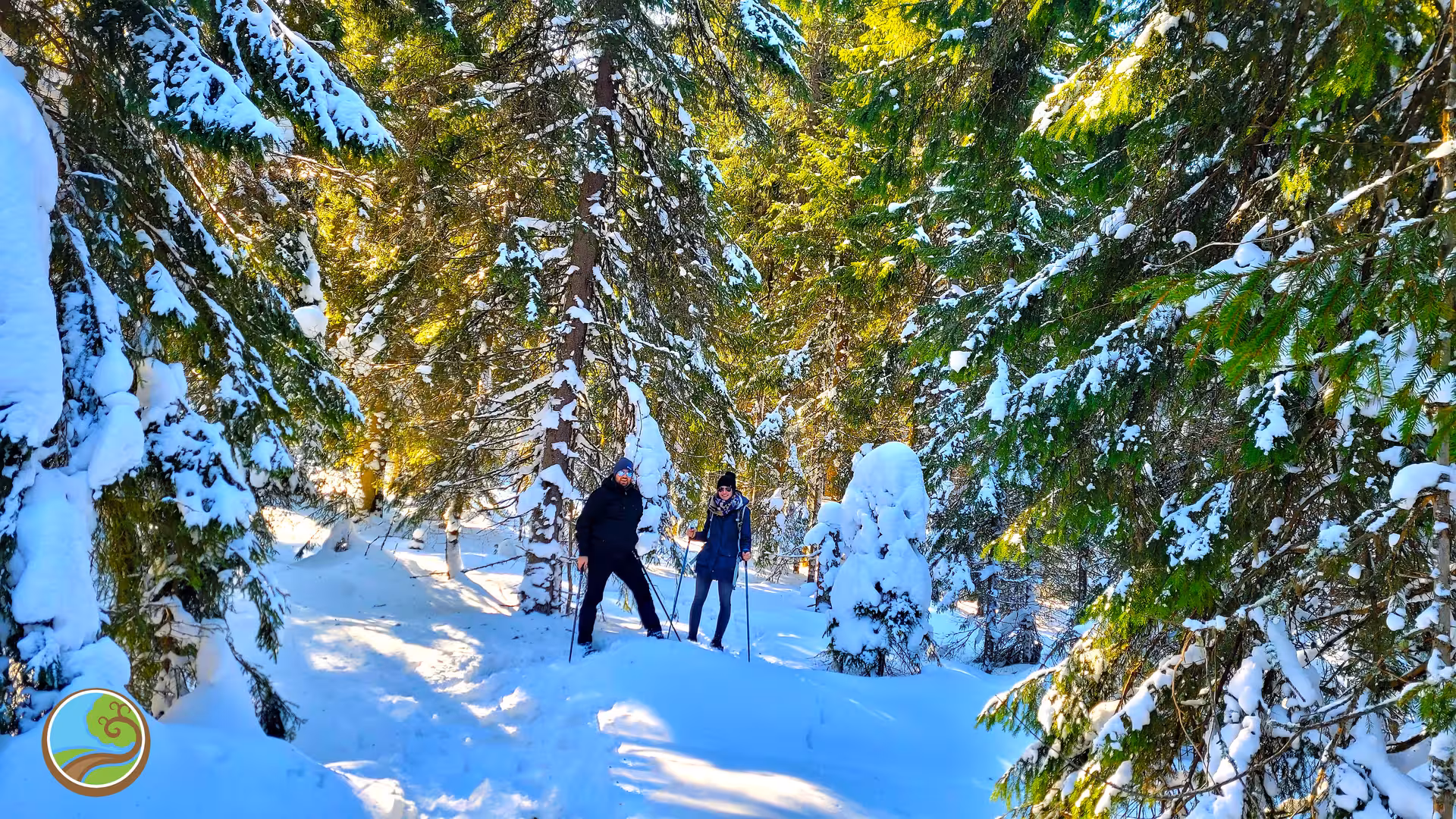 Two people snowshoeing through a snowy winter forest trail near Cluj-Napoca, Romania