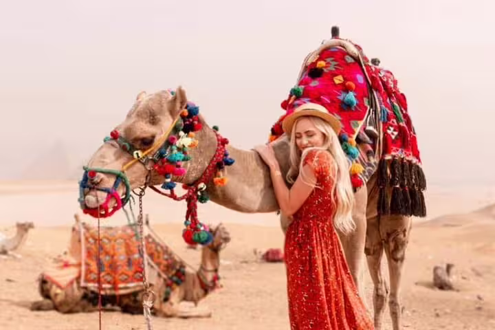 Woman with decorated camel in Egyptian desert, luxury Cairo pyramids adventure with Dahshur and Sakkara