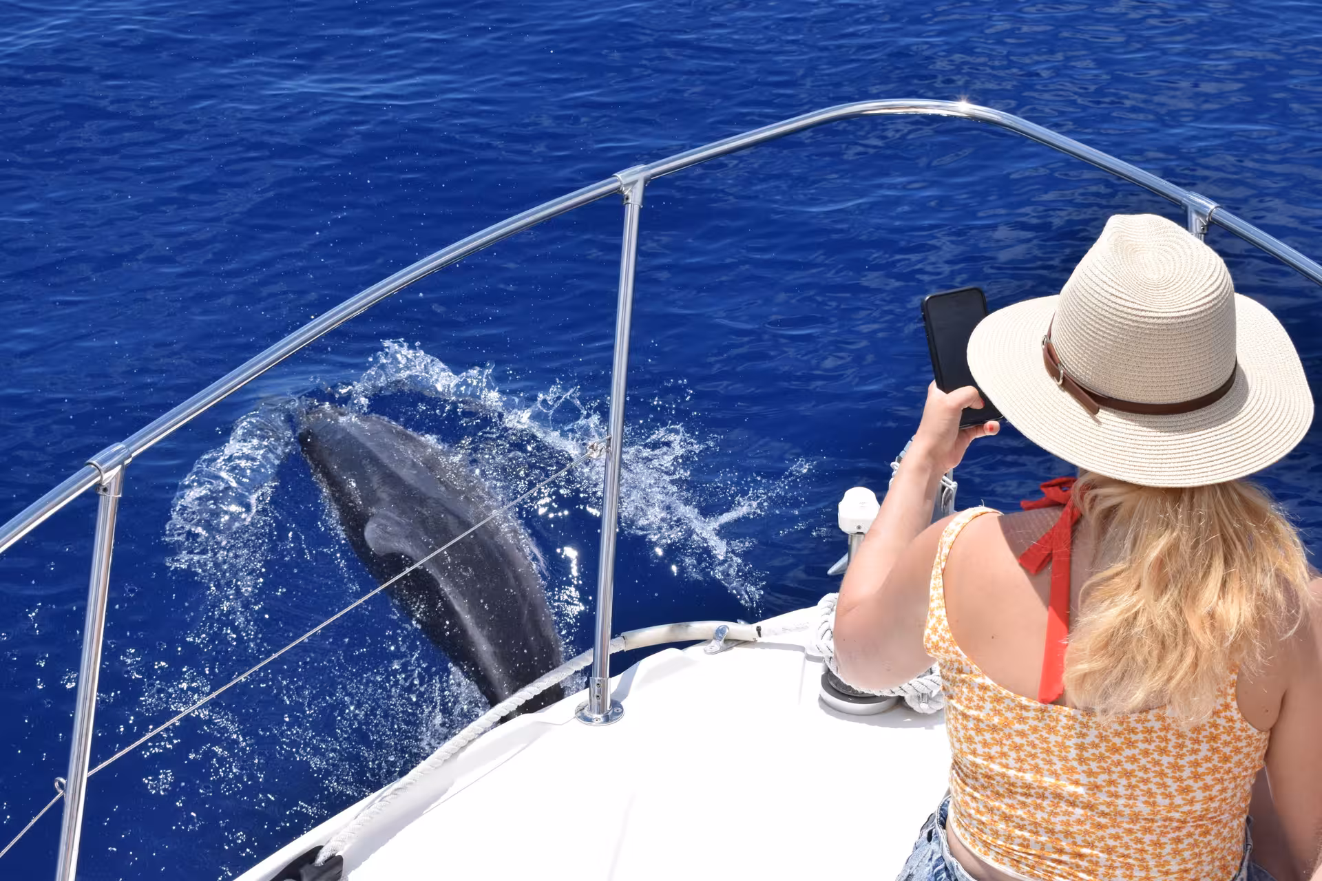 Woman capturing a close-up of a dolphin swimming alongside a boat on a private marine wildlife tour.