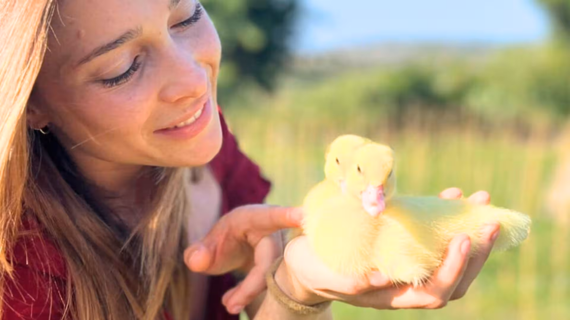 Smiling woman gently holding two yellow ducklings during a farm animal experience in Olbia.