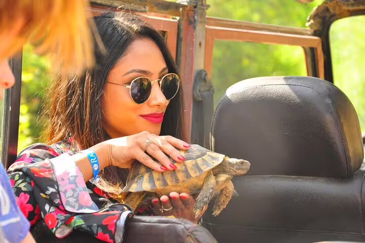 Woman holding a turtle during a jeep safari tour from Kusadasi, enjoying wildlife up close in a national park.