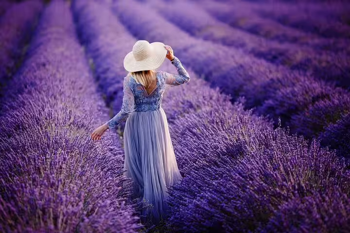 Woman in blue dress and white hat walking through purple lavender fields in Provence, France