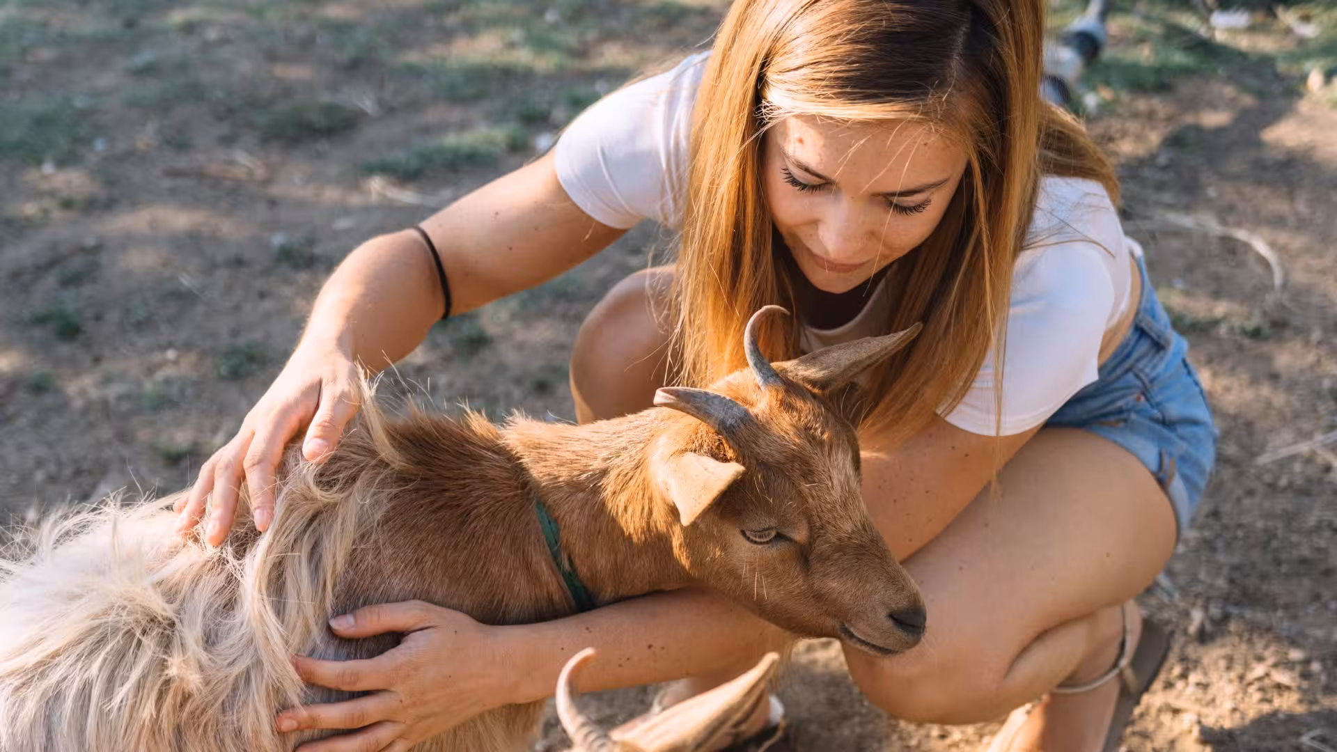 Woman gently petting a small goat during a farm picnic experience in Olbia, perfect for animal lovers and families.