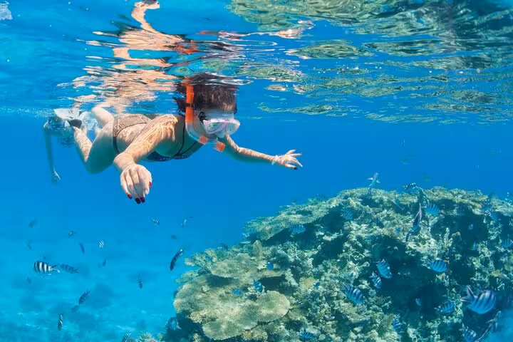 Woman snorkeling over Dahab coral reef in the Red Sea on a Sharm El Sheikh to Dahab snorkeling day trip