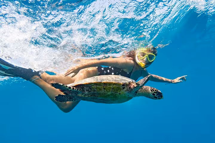 Woman snorkeling with a sea turtle at Marsa Mubarak, Marsa Alam Red Sea boat excursion with guide