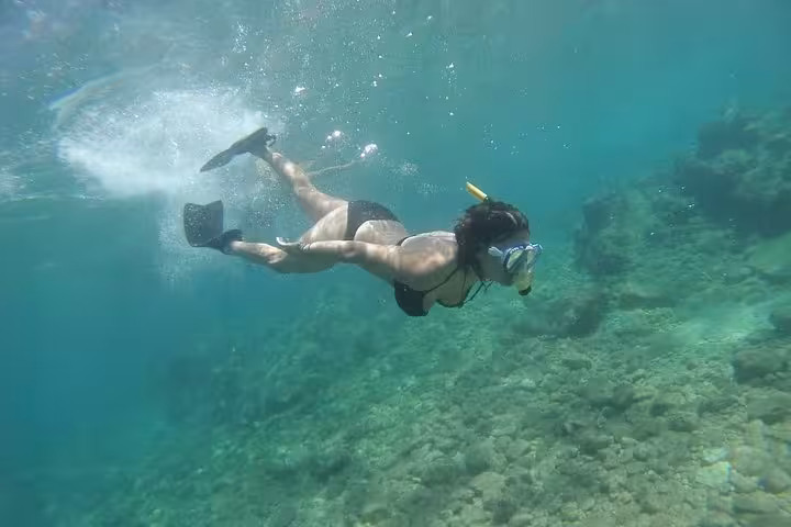 Woman snorkeling over rocky seabed in turquoise water on Rando-Palmée island getaway excursion