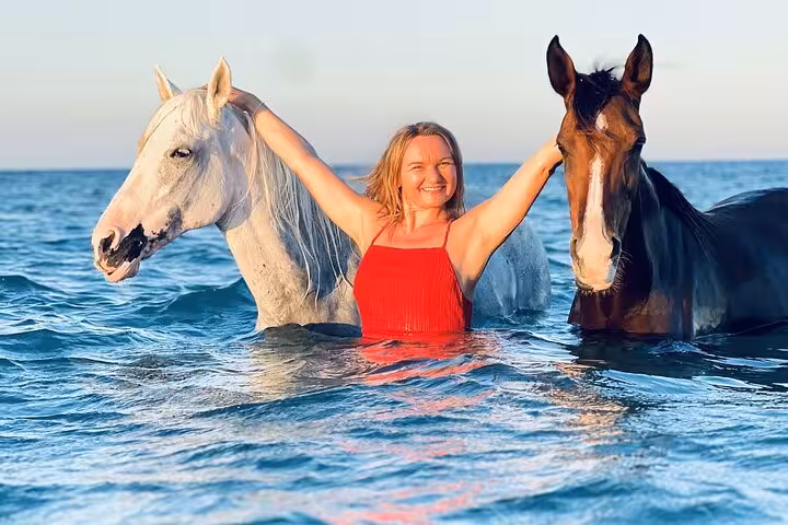 Woman swimming with two horses in the Red Sea near Hurghada, optional horse swimming tour experience