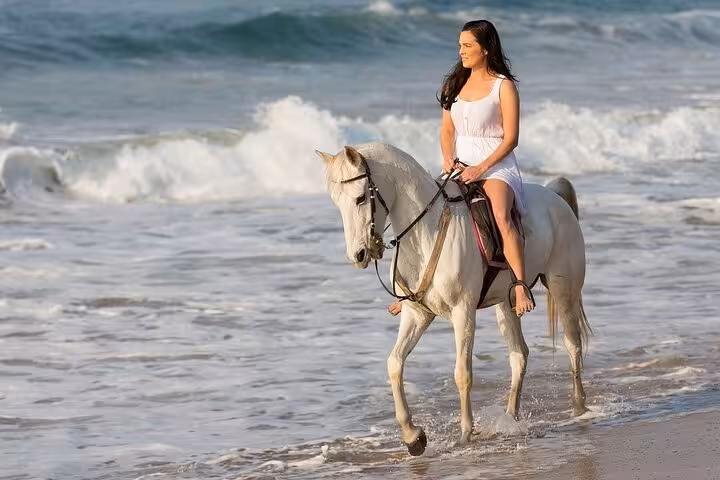 Woman riding a white horse along the Red Sea shoreline in Hurghada, one-hour beach horse riding with hotel transfer