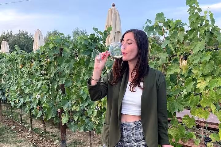 Woman enjoying wine tasting in Chianti vineyard during private tour, surrounded by lush green grapevines.