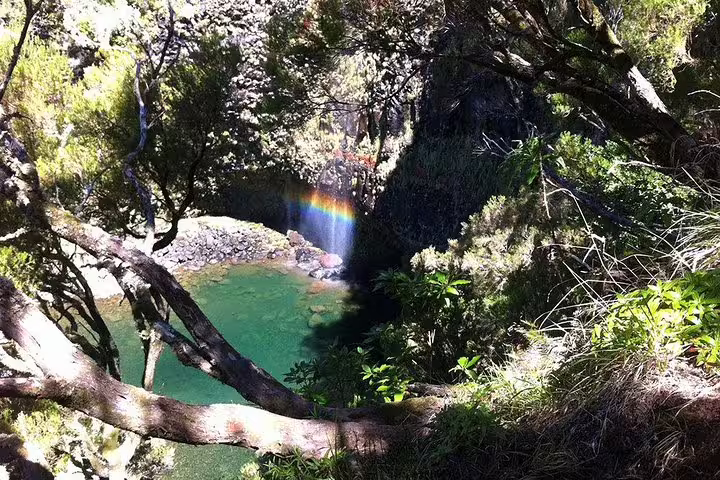 A vibrant rainbow over a serene waterfall and emerald pool, nestled in a lush forest on the Wood Levada Levada trek.