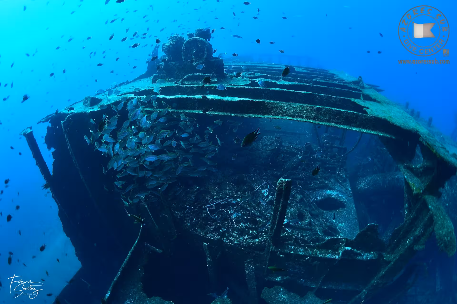 Wreck diving scene with schooling fish over a sunken ship, part of the Diving Exit underwater adventure in Azores