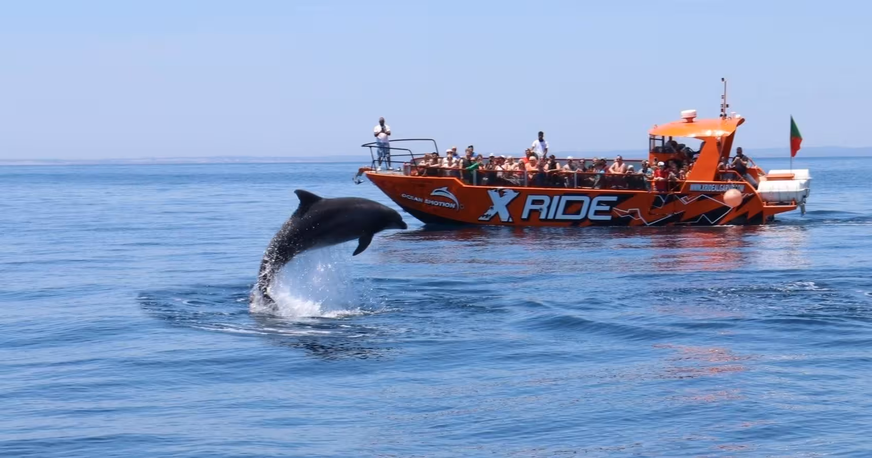 Playful dolphin leaps beside the X Ride Benagil caves and dolphin watching cruise off the Algarve coast