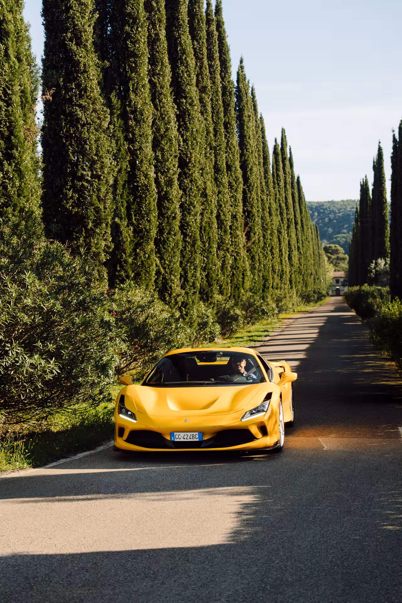 Yellow Ferrari F8 Tributo driving along a cypress-lined road in Siena, Tuscany, Italy