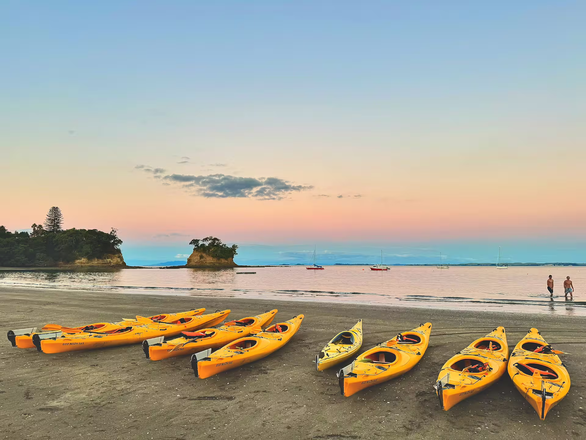 Yellow kayaks lined up on Waiake Beach at sunset, ready for Auckland bioluminescence tour.