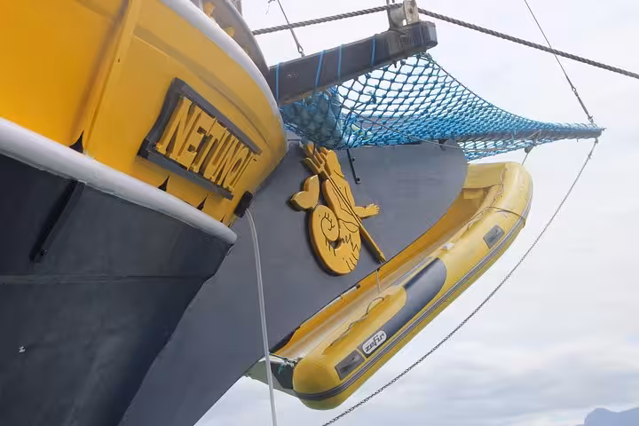 Close-up of a vibrant yellow boat with a zodiac raft, highlighting the Neptune logo for a thrilling boat tour experience.