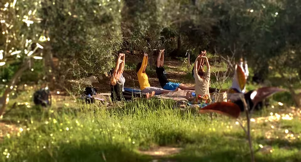 Small group practicing outdoor yoga among olive trees in Pollino National Park on a 4-day Nature Friend retreat near Altomonte