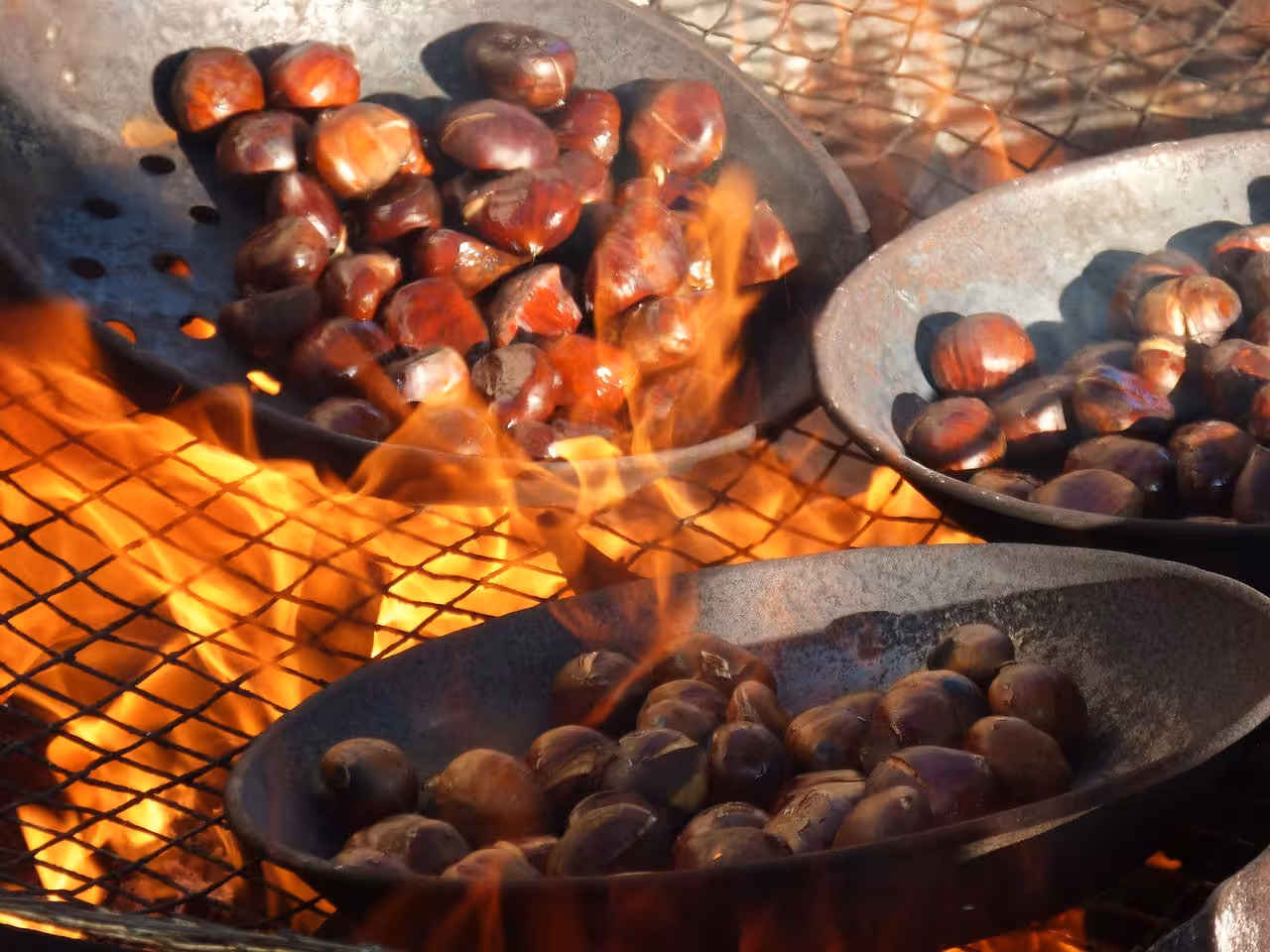Fresh chestnuts roasting over open flames in iron pans at the Yunquera Chestnuts Festival near Malaga