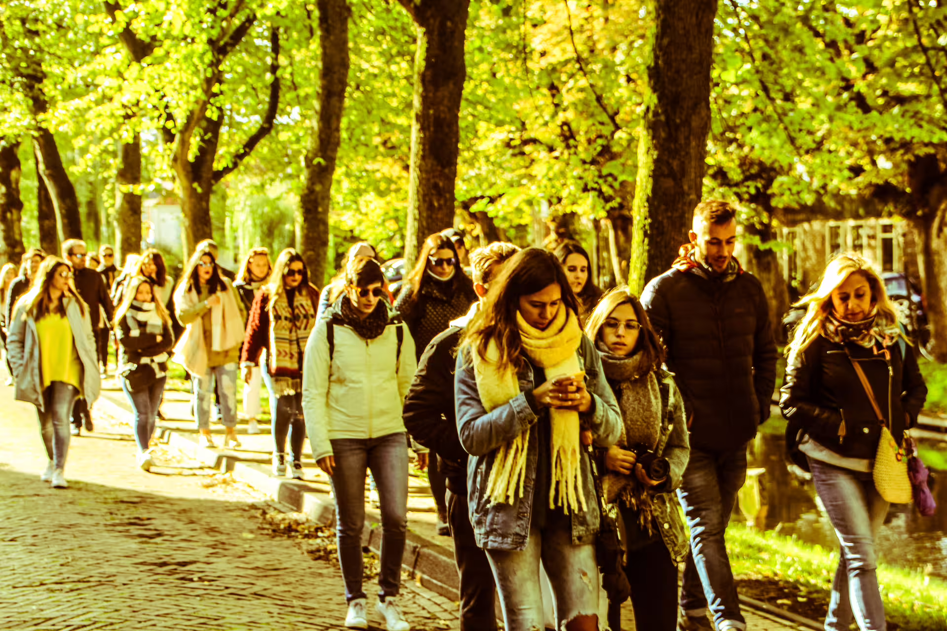 Tourists exploring scenic pathways lined with trees on a guided tour to Zaanse Schans, Edam, Volendam, and Marken.