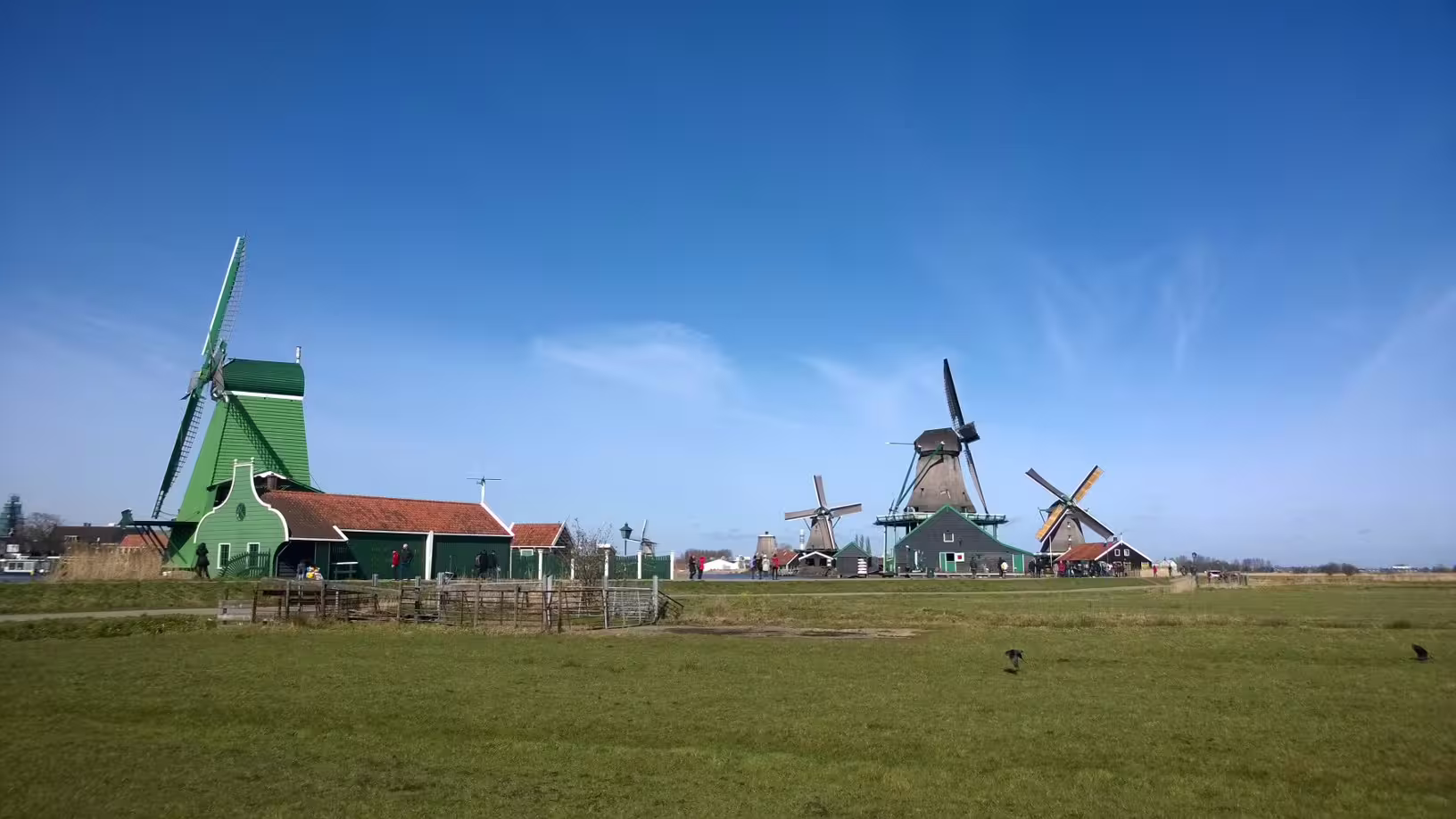 Panoramic Zaanse Schans windmills and green wooden houses in countryside, private day trip from Amsterdam