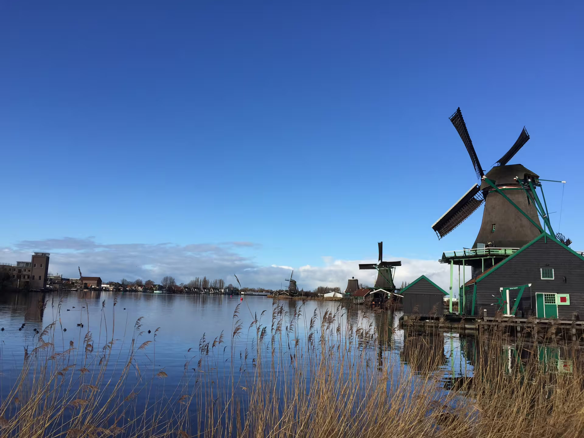 Scenic view of Zaanse Schans windmills reflecting on the water, showcasing Dutch heritage on a tour to Edam, Volendam, and Marken.