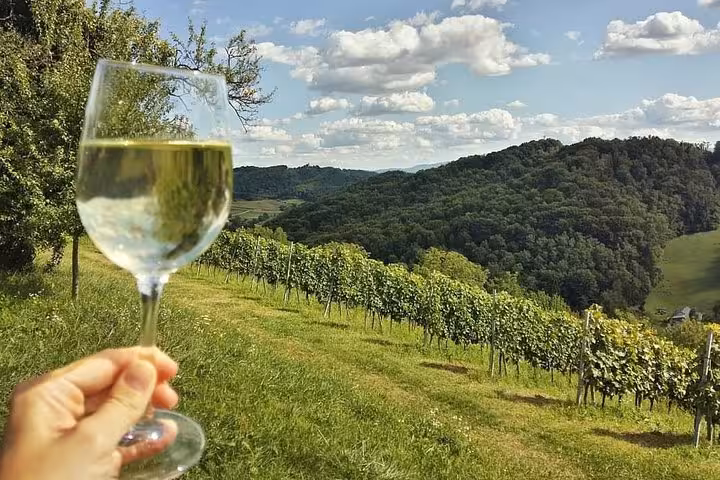 White wine glass raised over Croatian hillside vineyards on a day trip from Zagreb with wine tasting and lunch