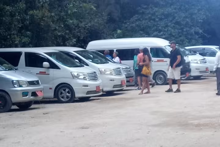 Group of passengers boarding white vans for Zanzibar airport transfer service in a leafy parking area.