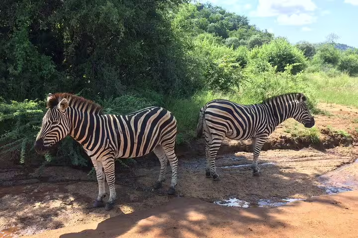 Zebra crossing in Pilansburg